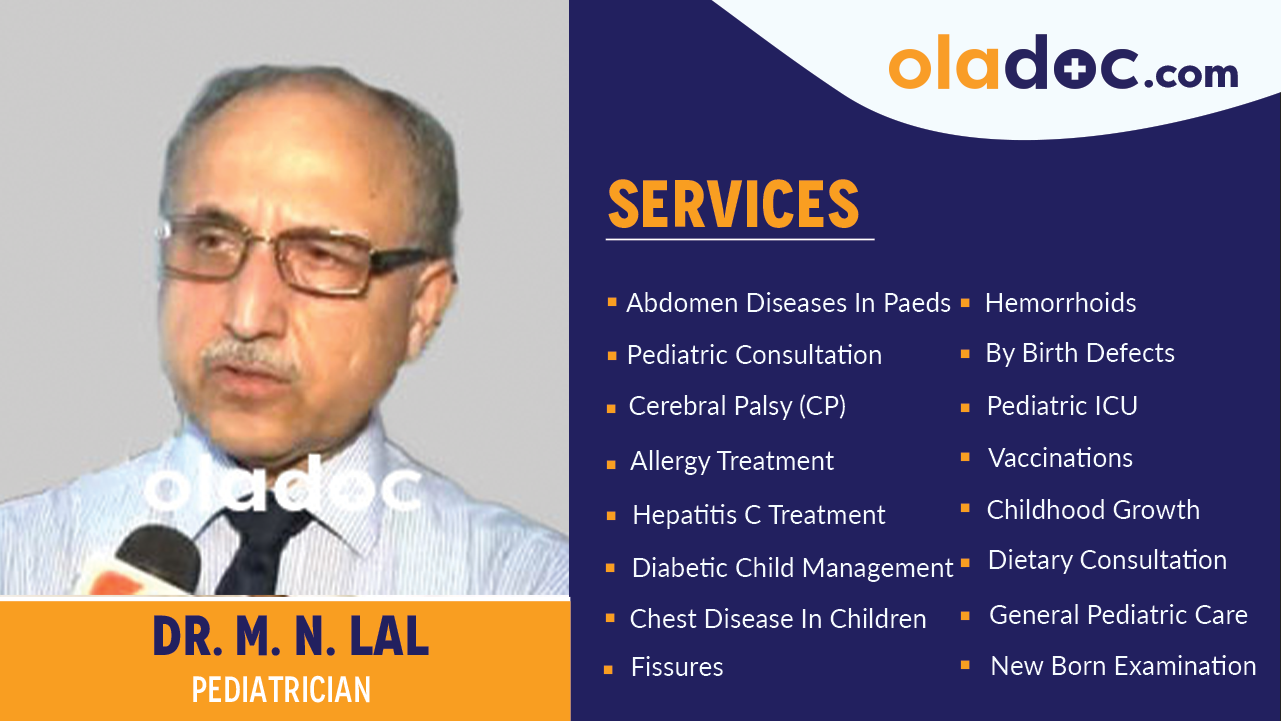 Services provided by Dr. M. N. Lal